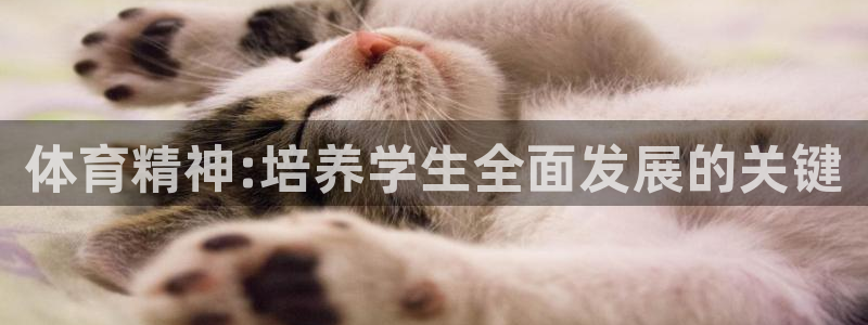 bbin视讯游戏官网