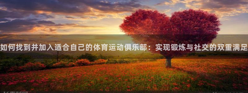 bbin视讯游戏平台