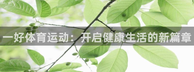 bbin视讯游戏平台：一好体育运动：开启健康生活的新篇章