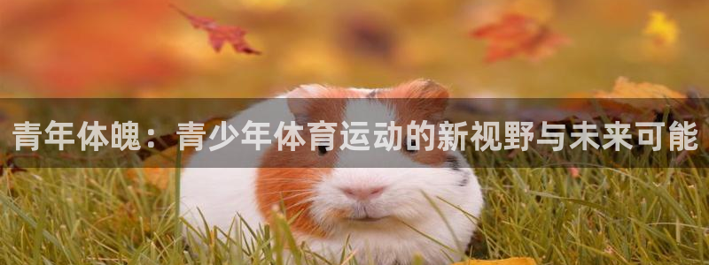 bbin视讯游戏官网：青年体魄：青少年体育运动的新视野与未来可能